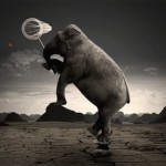 elephant_catching_butterfly