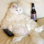 Time to change that channel?