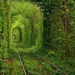 Permalink to The Progressive BPO Train has left the Station – is IBM on it? Train to the Progression