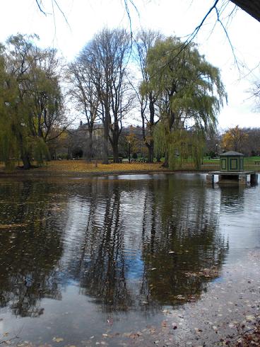 Public-gardens-boston