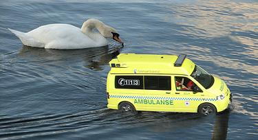 Ambulance-chaser