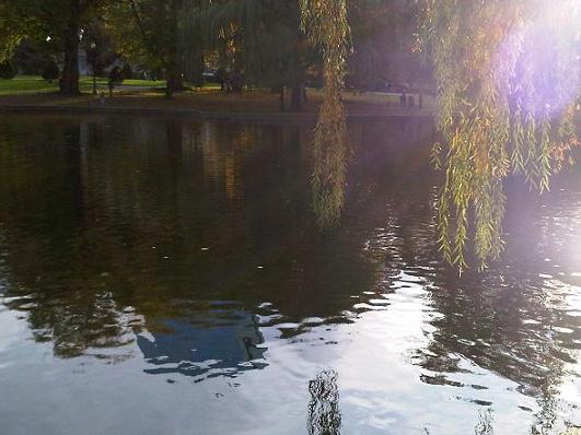 Boston-Autumnal-Afternoon