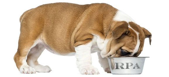 How Robotic Process Automation has become a right dog’s breakfast
